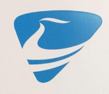 Aioneus